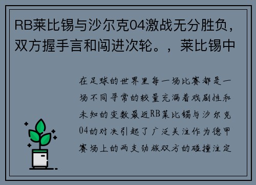 RB莱比锡与沙尔克04激战无分胜负，双方握手言和闯进次轮。，莱比锡中场萨比策