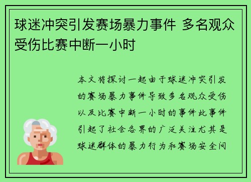 球迷冲突引发赛场暴力事件 多名观众受伤比赛中断一小时